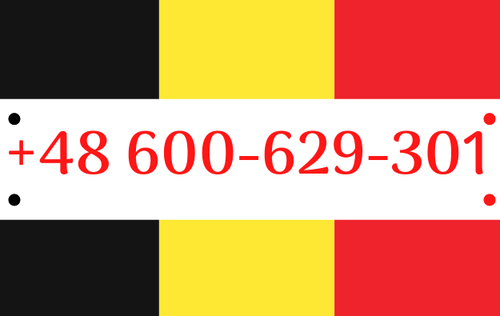 przewozy do Belgii Wielkopolska